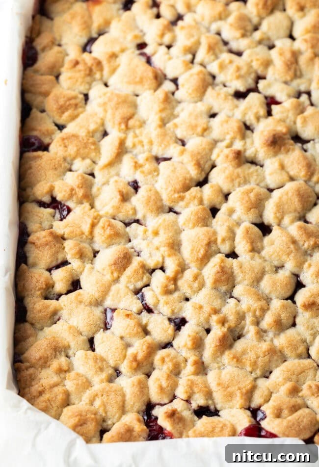 A baked pan of cherry pie bars, featuring a golden-brown, bubbly topping and visible cherry filling peeking through, fresh from the oven.
