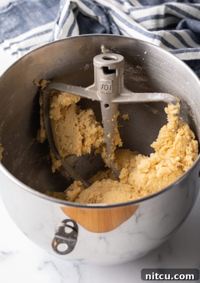 A metal standing mixer bowl contains a batch of freshly prepared pie dough, ready for the next step in baking.
