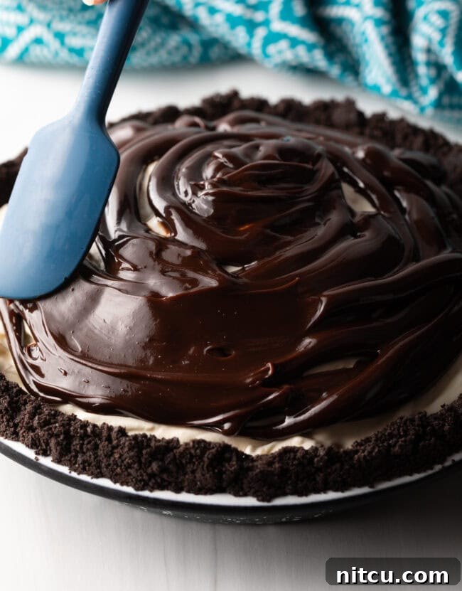 Macadamia nuts sprinkled on top of the fudge layer.