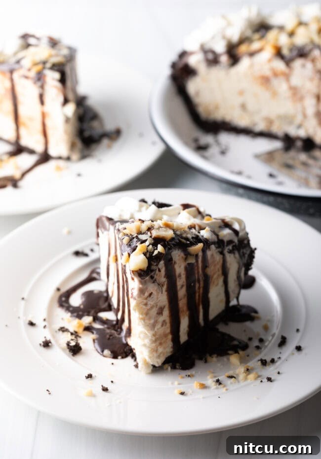 A pristine slice of macadamia nut ice cream pie on a white plate, showcasing its layers of crust, ice cream, fudge, and nuts.