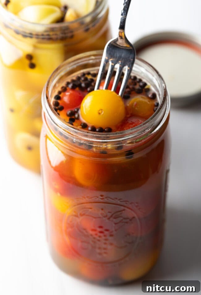 Fork taking a red cherry tomato from a large glass jar of pickling liquid.