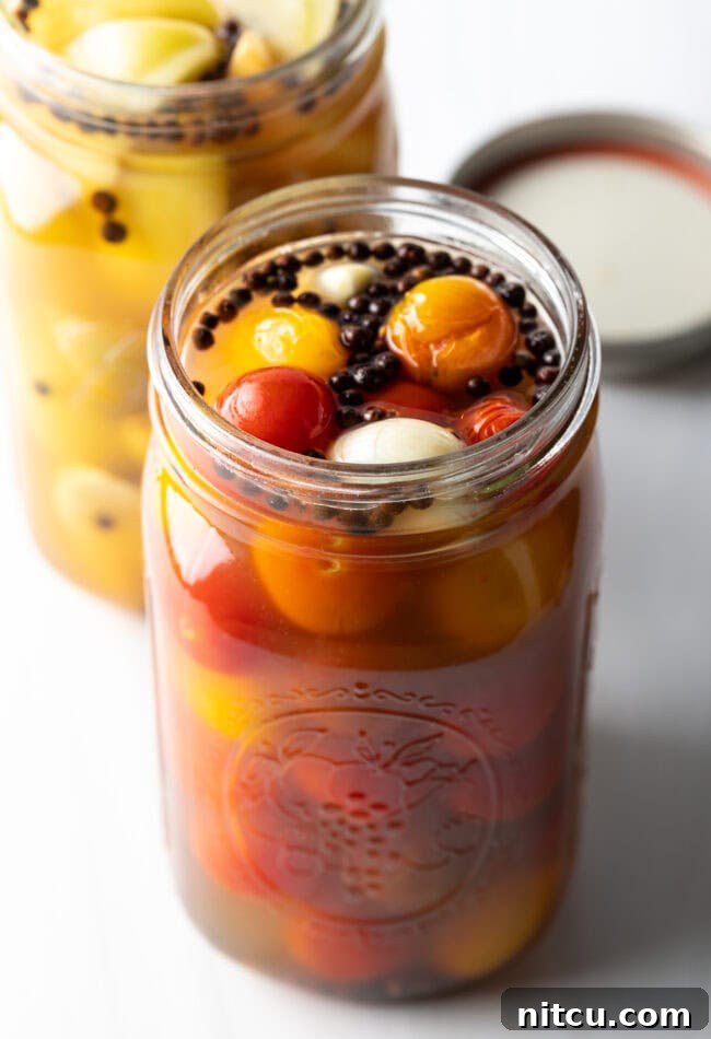 Marinated pickled cherry tomatoes in a large glass jar.
