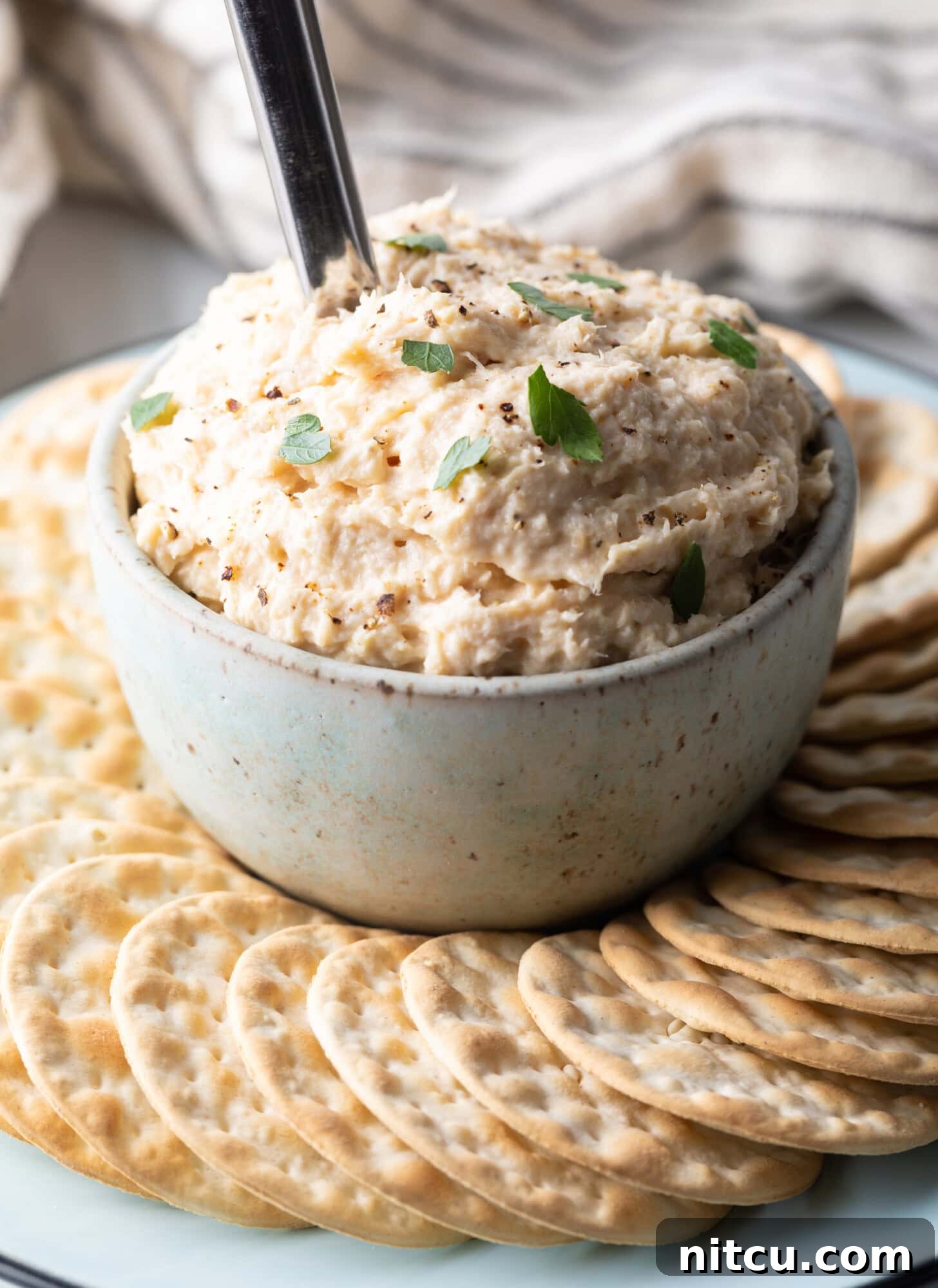 An elegant, off-white ceramic bowl of creamy smoked fish dip sits invitingly at the center of a rustic round serving plate. A collection of crisp, circular crackers are artfully arranged around the bowl, ready for dipping. A silver metal spoon is delicately poised within the dip, indicating its rich, smooth texture.
