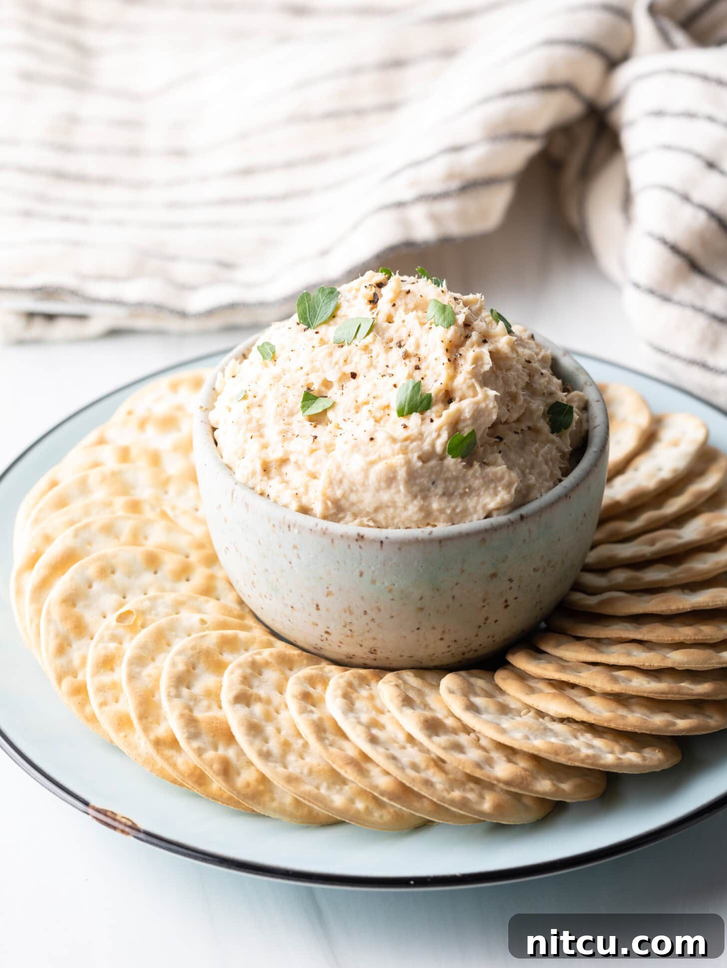 A pristine, off-white bowl brimming with creamy smoked fish dip is presented centrally on a rustic round serving platter, artfully encircled by an assortment of crisp, circular crackers.