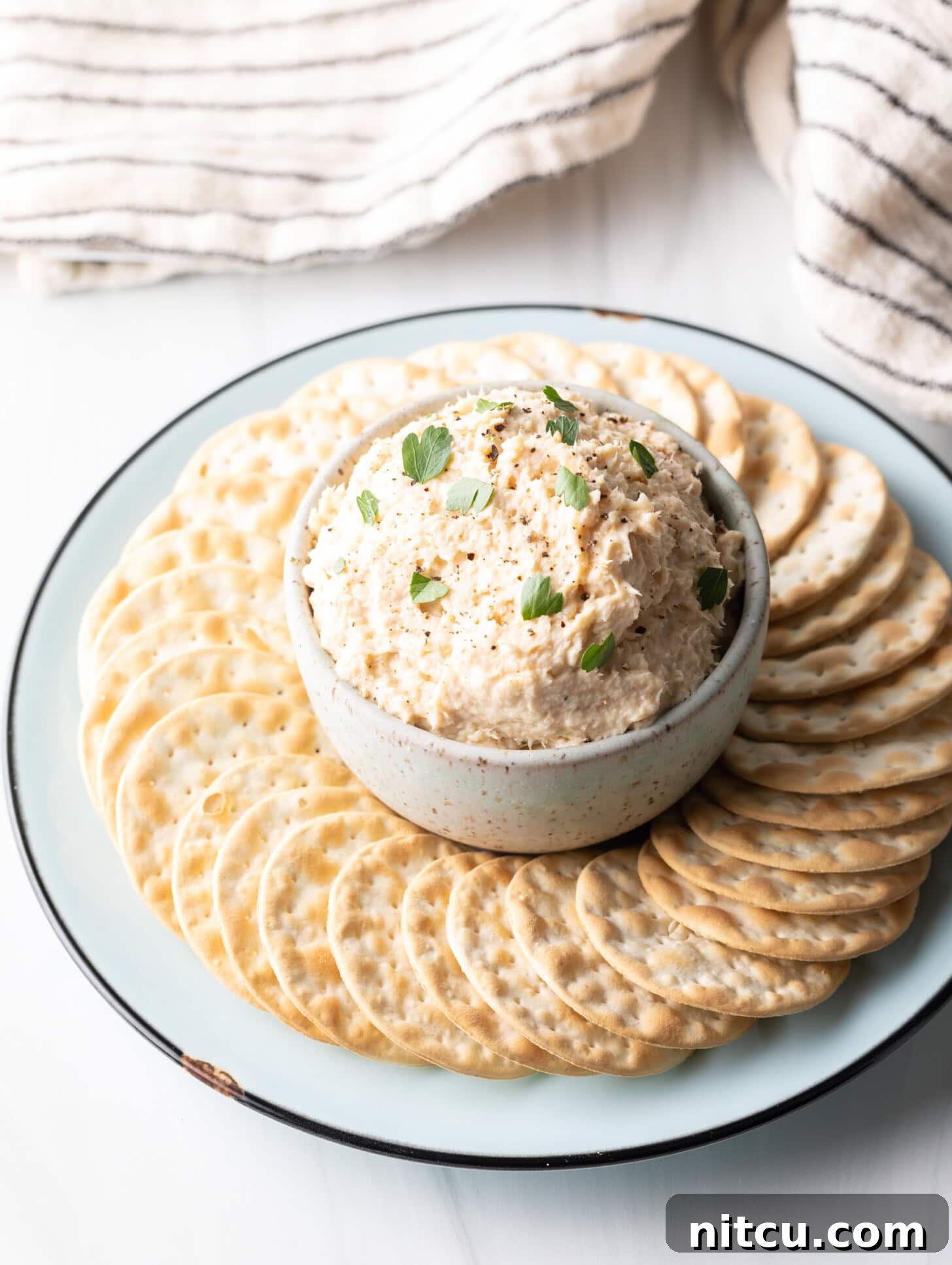 A pristine, off-white bowl brimming with creamy smoked fish dip is presented centrally on a rustic round serving platter, artfully encircled by an assortment of crisp, circular crackers, inviting guests to indulge.