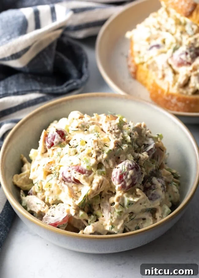 Bowl of prepare salad. Recipe made with leftover turkey.