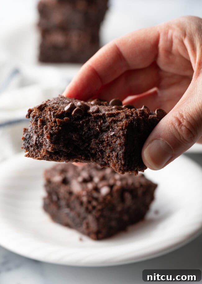 A hand holding a fudgy protein brownie with a bite taken out of it, showing its moist, dark interior and delicious appeal.