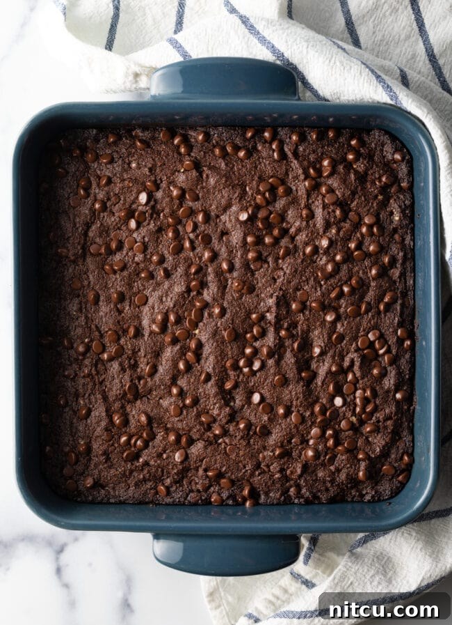 Top-down view of a square pan of freshly baked brownies dotted with chocolate chips, cut into perfect squares.