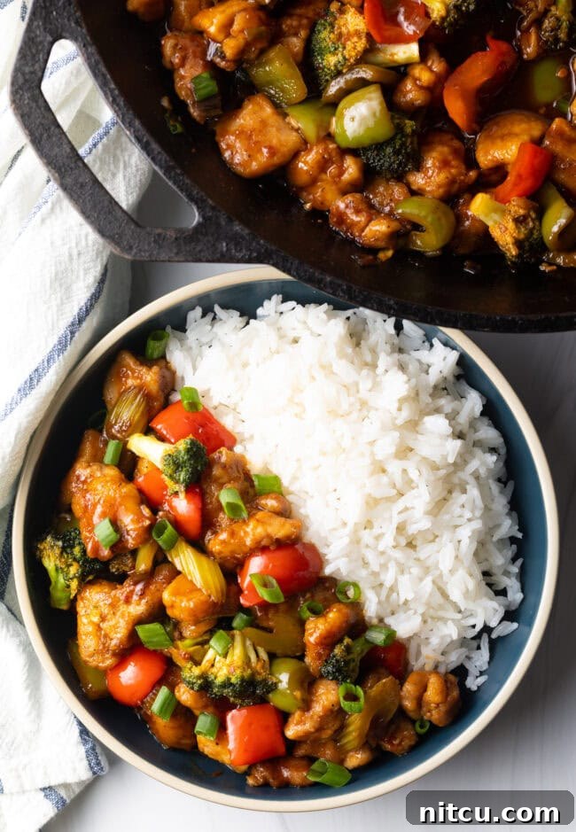 A captivating overhead view of a bowl, elegantly divided between savory Hunan Chicken stir-fry and fluffy white rice, inviting a delicious meal.