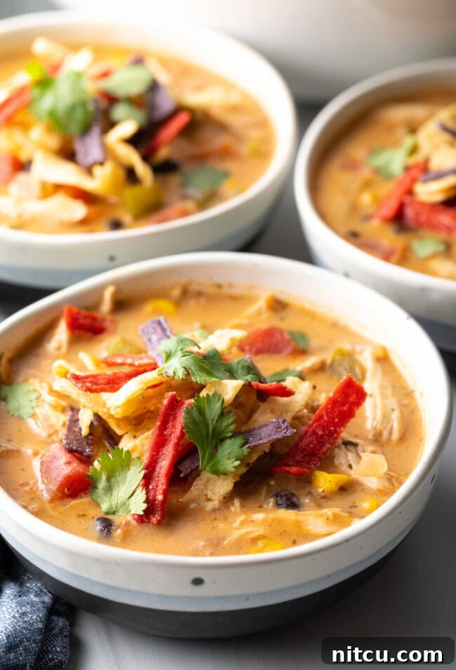 Three white and gray bowls filled with chicken taco soup. Each bowl is garnished with cilantro and red tortilla strips.