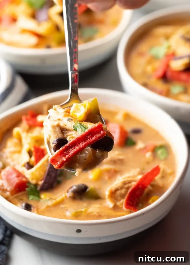 Metal spoon offering taco soup to camera.