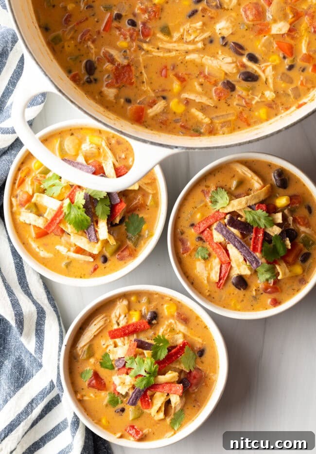 Three white and gray bowls filled with chicken taco soup. Each bowl is garnished with cilantro and red tortilla strips.