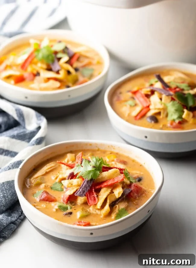 Three white and gray bowls filled with chicken taco soup. Each bowl is garnished with cilantro and red tortilla strips.