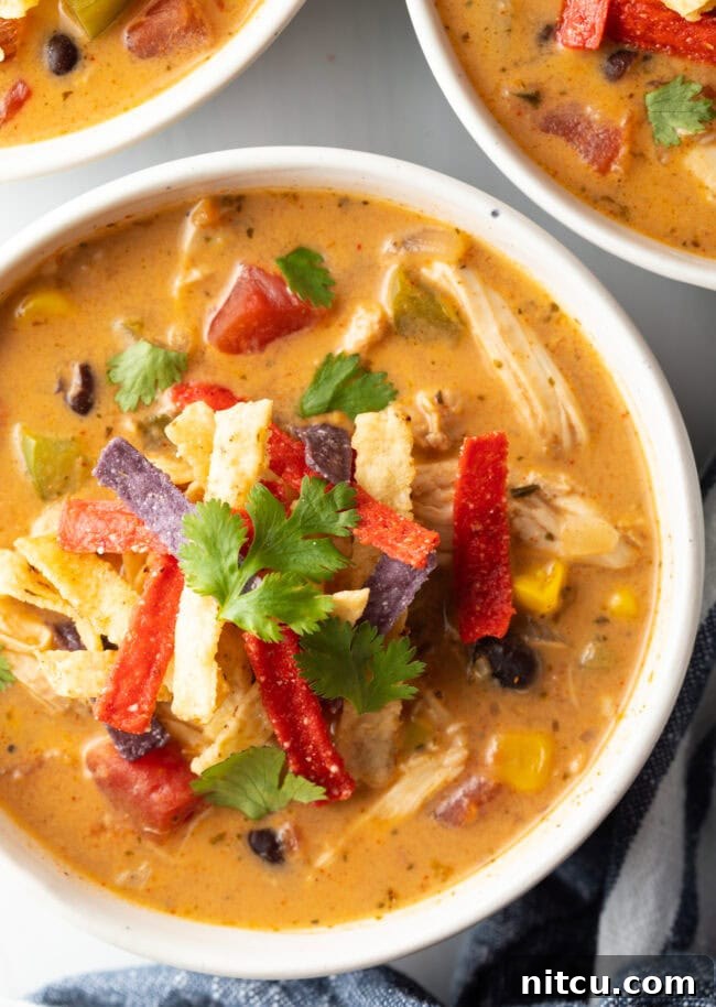Top down view bowl of slow cooker chicken taco soup, garnished with fresh cilantro and tortilla strips.