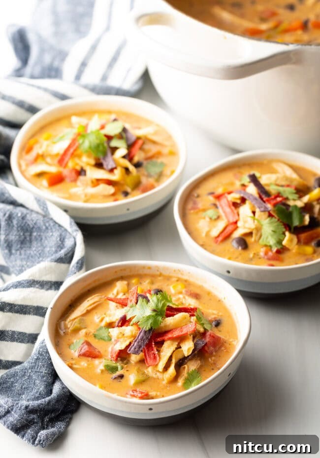 Three white and gray bowls filled with chicken taco soup. Each bowl is garnished with cilantro and red tortilla strips.