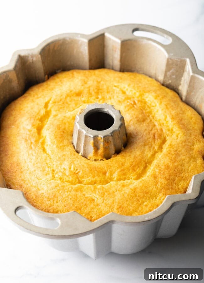 A perfectly baked yellow cake cooling in the Bundt pan after being removed from the oven.