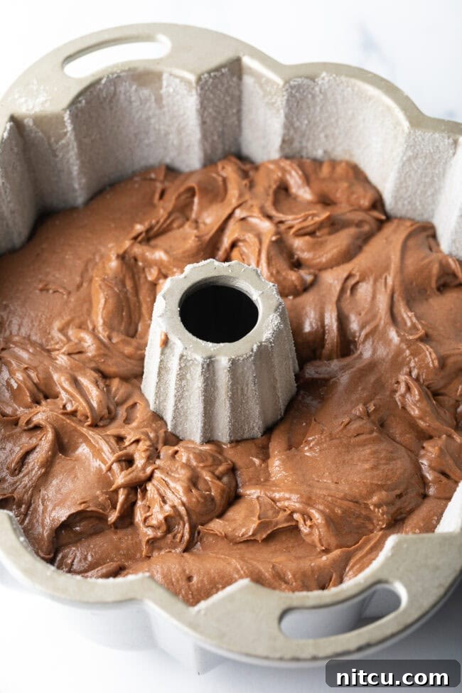 Chocolate batter poured into a bundt pan.