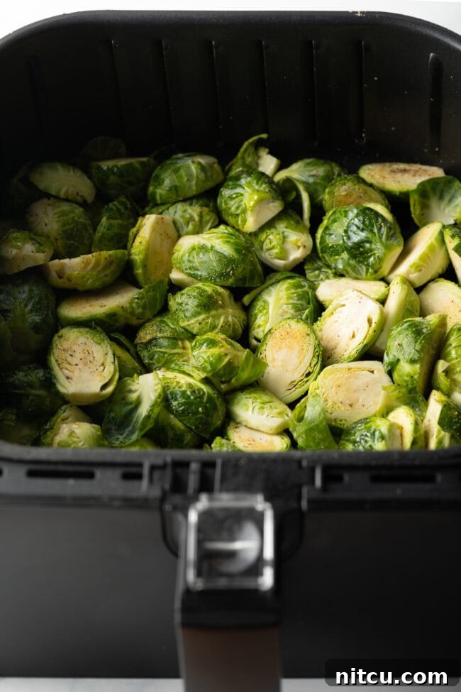 Uncooked, seasoned Brussels sprout halves neatly arranged in a single layer within an air fryer basket, ready for cooking.