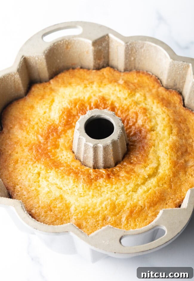 A perfectly baked, golden-brown Bundt cake sits cooling in its pan, its intricate design visible, promising a delicious and visually appealing dessert.