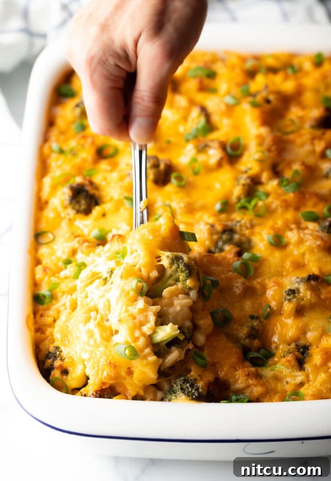Broccoli cheese rice casserole in a white baking dish. A metal spoon is scooping a portion from the dish.