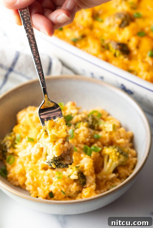 Bowl of broccoli, rice, and cheese casserole. There is a fork in the bowl, taking a portion of rice.