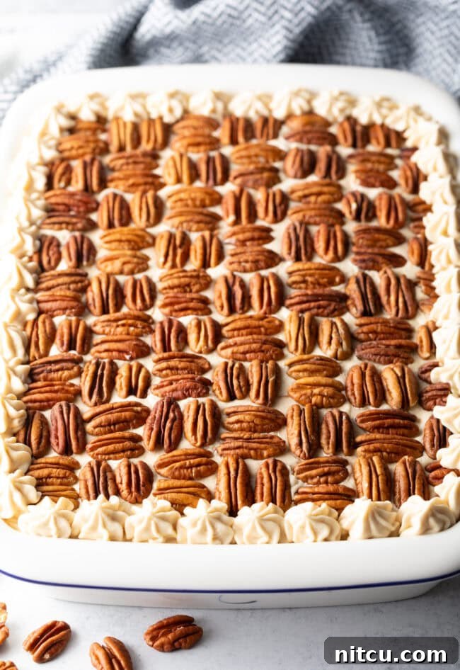 Rectangle pecan cake, topped with nut halves and piped with frosting around the edge.