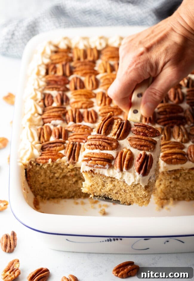 Rectangle butter pecan cake, topped with nut halves and piped with frosting around the edge. Hand is removing a square of cake.