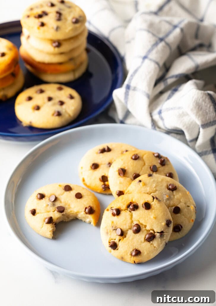 Light blue plate with 6 cookies. One chocolate chip cookie has a bite taken out.