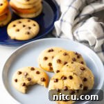 Light blue plate with 6 cookies. One chocolate chip cookie has a bite taken out.