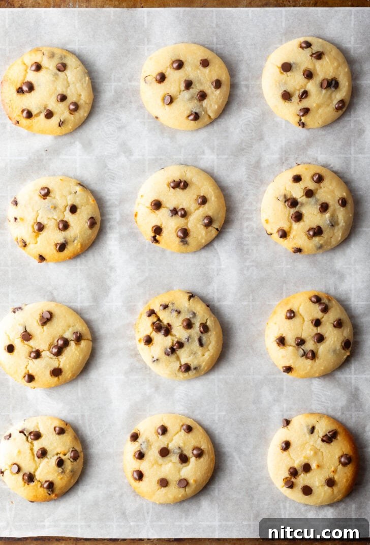 8 cottage cheese chocolate chip cookies cooling on a baking sheet.