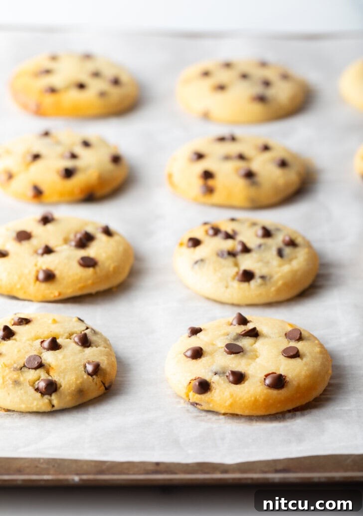 8 cottage cheese chocolate chip cookies cooling on a baking sheet. A front cookie has a bite missing.
