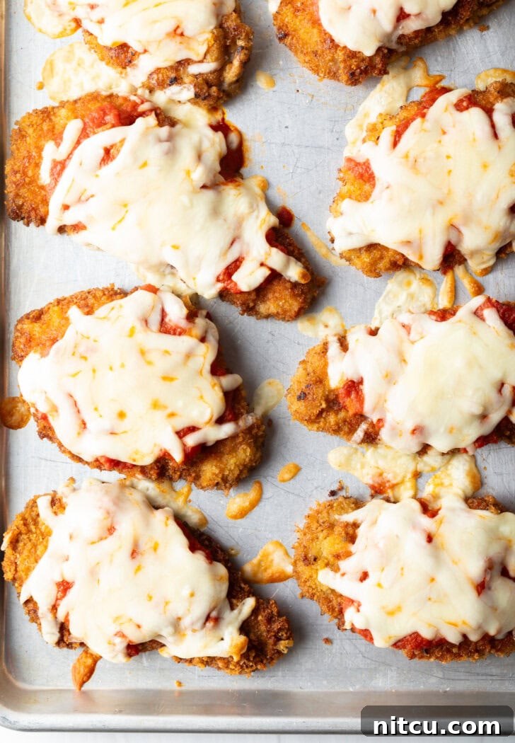 Top down view of 6 pieces of breaded baked veal on a baking sheet, topped with melted mozzarella cheese