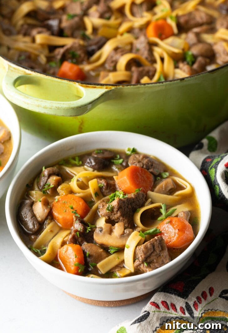 White bowl of noodle soup with meat and veggies.