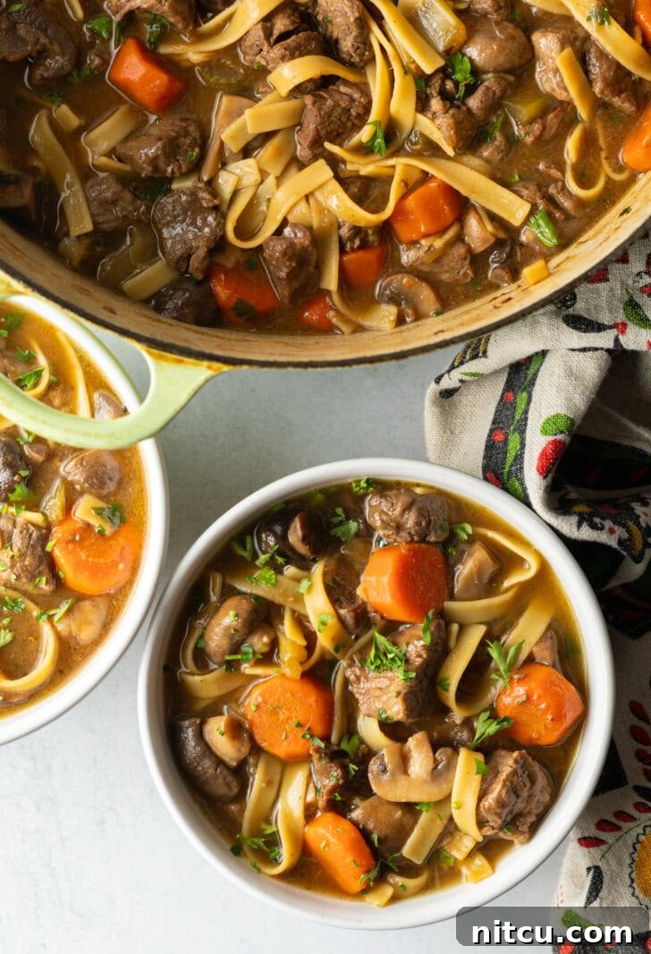 Top down bowl of noodle soup with meat and veggies.