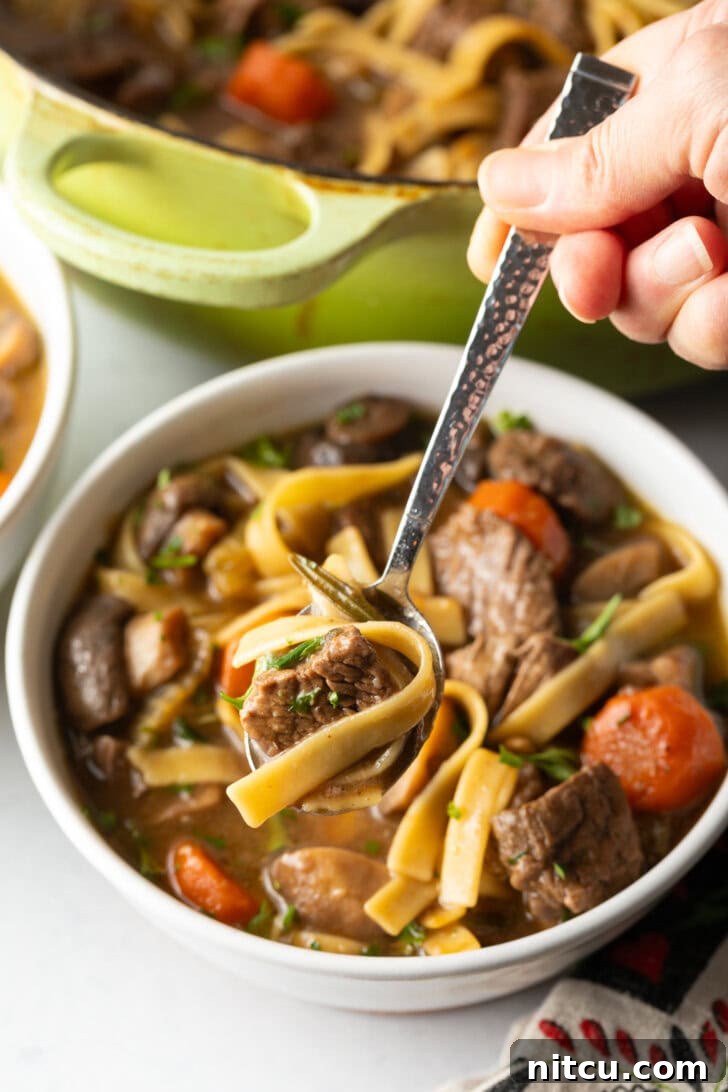Bowl of beef noodle soup with a spoon holding a spoonful to camera.