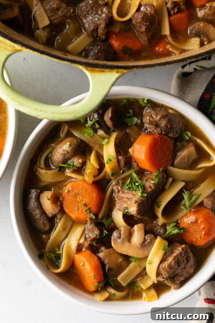 Top down bowl of noodle soup with meat and veggies.