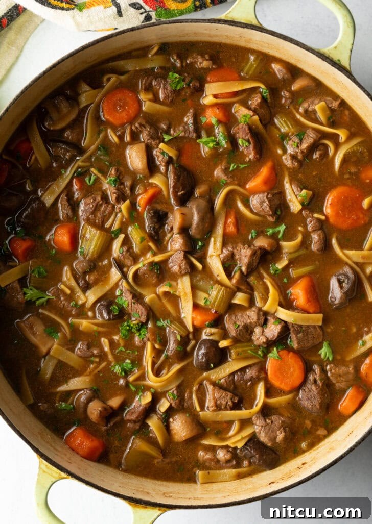 Top down view noodle soup with beef and veggies in a large pot.