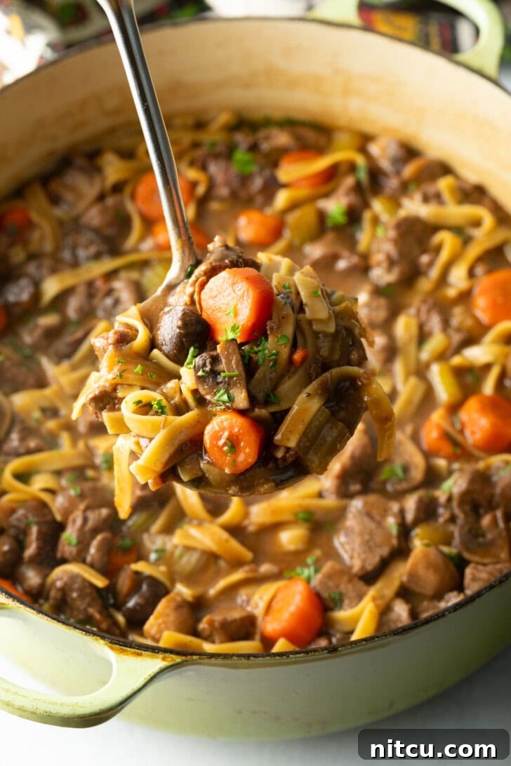 Bowl of beef noodle soup with a spoon holding a spoonful to camera.