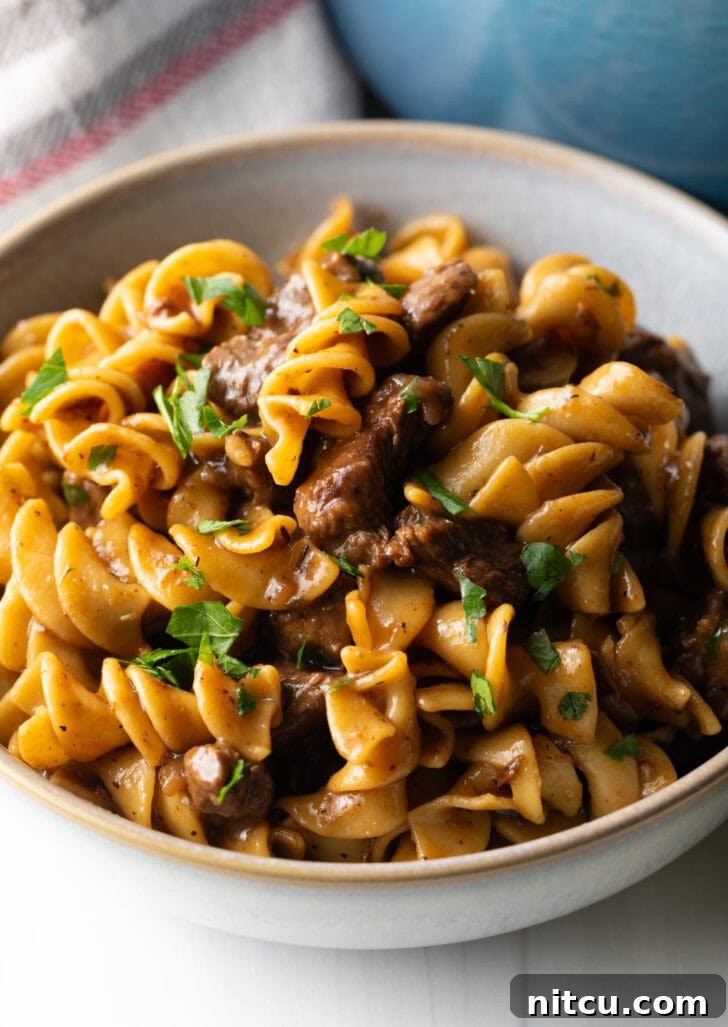 White bowl with a generous serving of beef and noodles, garnished with fresh chopped parsley.