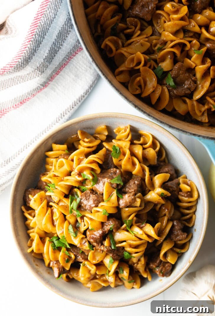 White bowl brimming with savory beef and noodles, accented with fresh green parsley.