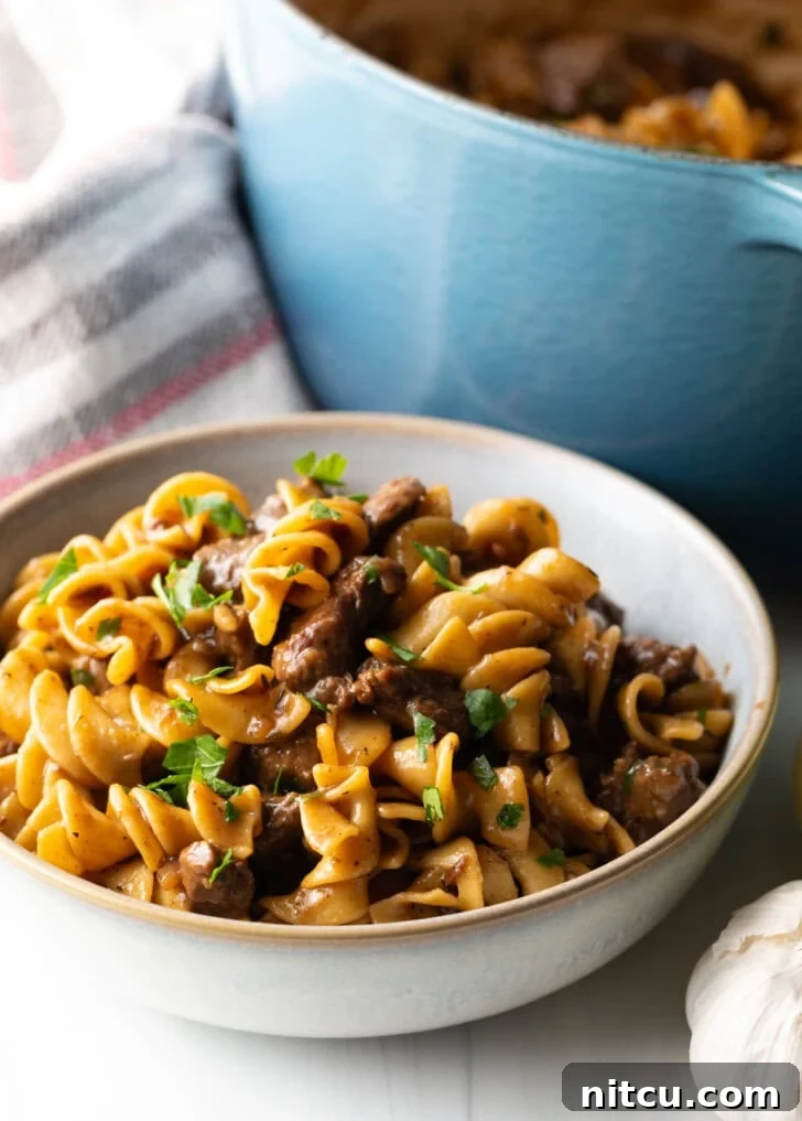 White bowl of beef and noodles, generously topped with fresh chopped parsley.