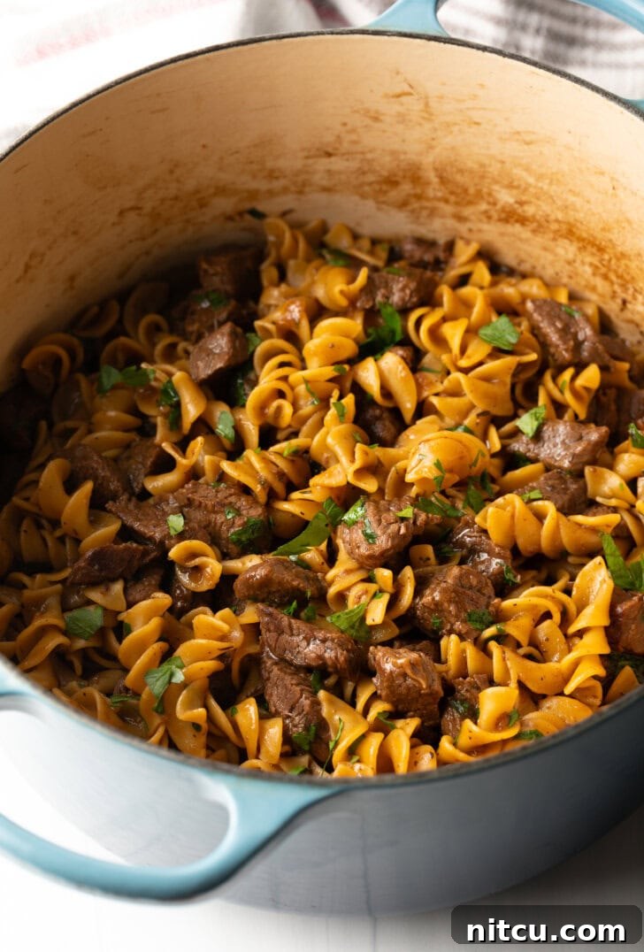 Top down view of egg noodles and pieces of cooked beef in a large pot, freshly topped with chopped parsley.