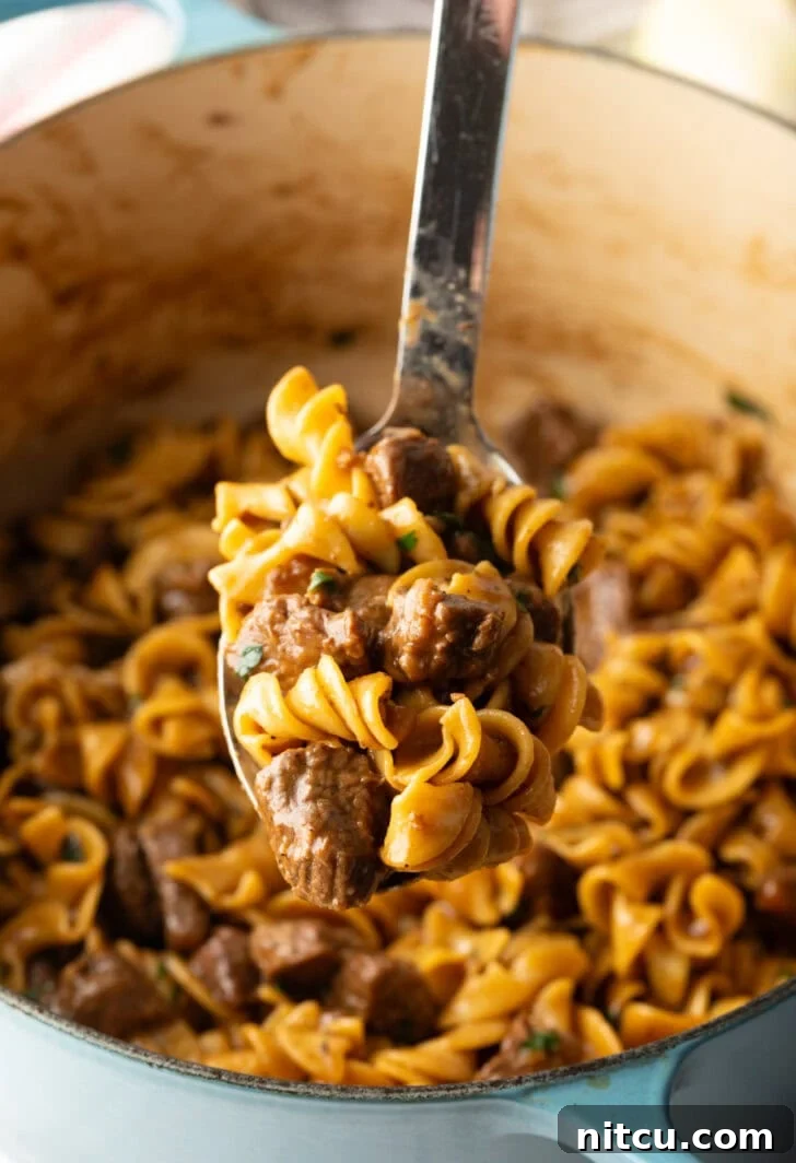 Metal spoon lifting a spoonful of tender noodles and meat from the cooking pot, ready to serve.