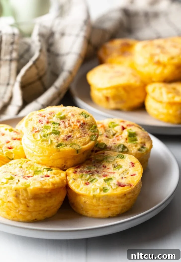 Six perfectly baked egg bites arranged beautifully on a pristine white plate, showcasing their golden-brown edges and fluffy texture.