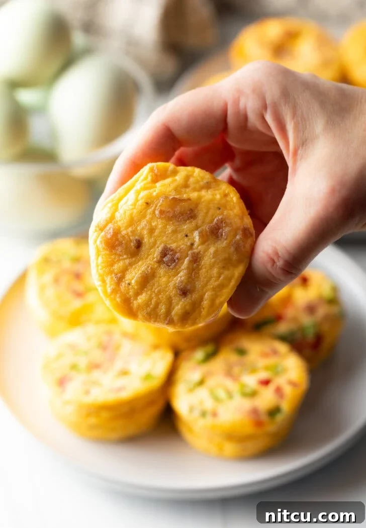 A hand holds a single, perfectly golden egg bite towards the camera, highlighting its enticing texture and a glimpse of the delicious fillings within.
