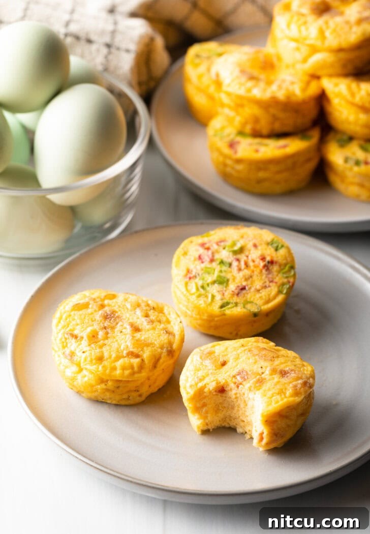 Three golden-brown egg bites rest on a plate, with one having a bite taken out, revealing its fluffy interior and cheese bits.