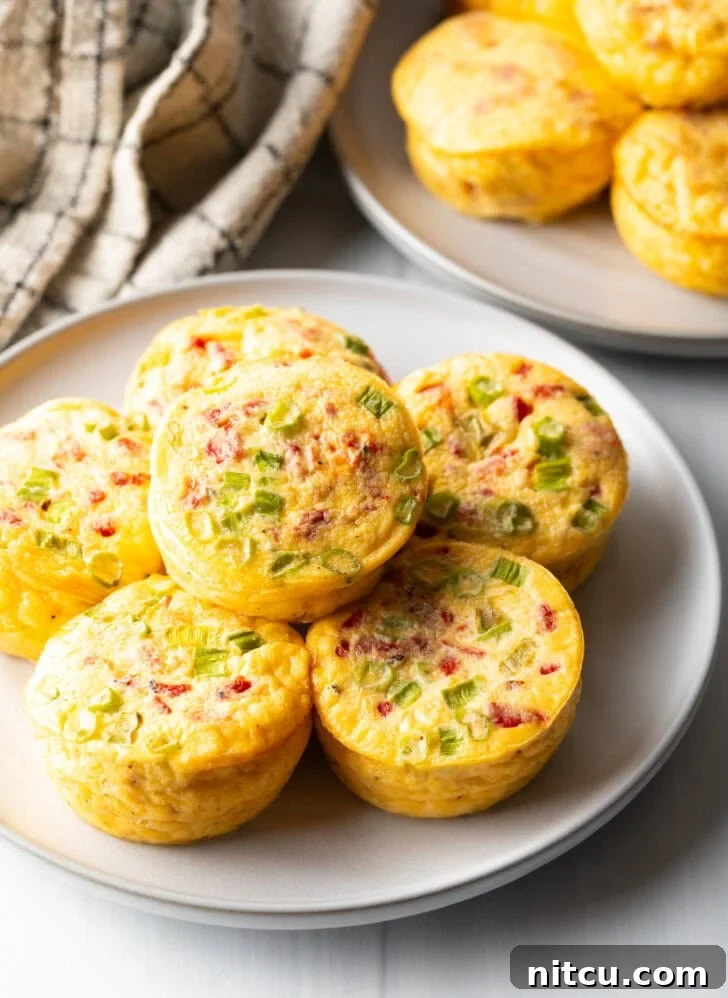 Six beautifully arranged egg bites on a white plate, showcasing their inviting texture and golden hue.