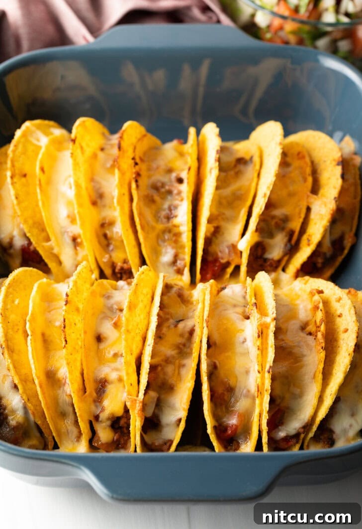 Melted cheese bubbling over the rows of tacos in the baking dish, just out of the oven.