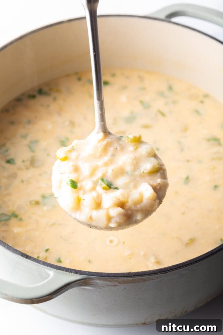 Large pot of soup with a ladleful of fish chowder showing to camera.