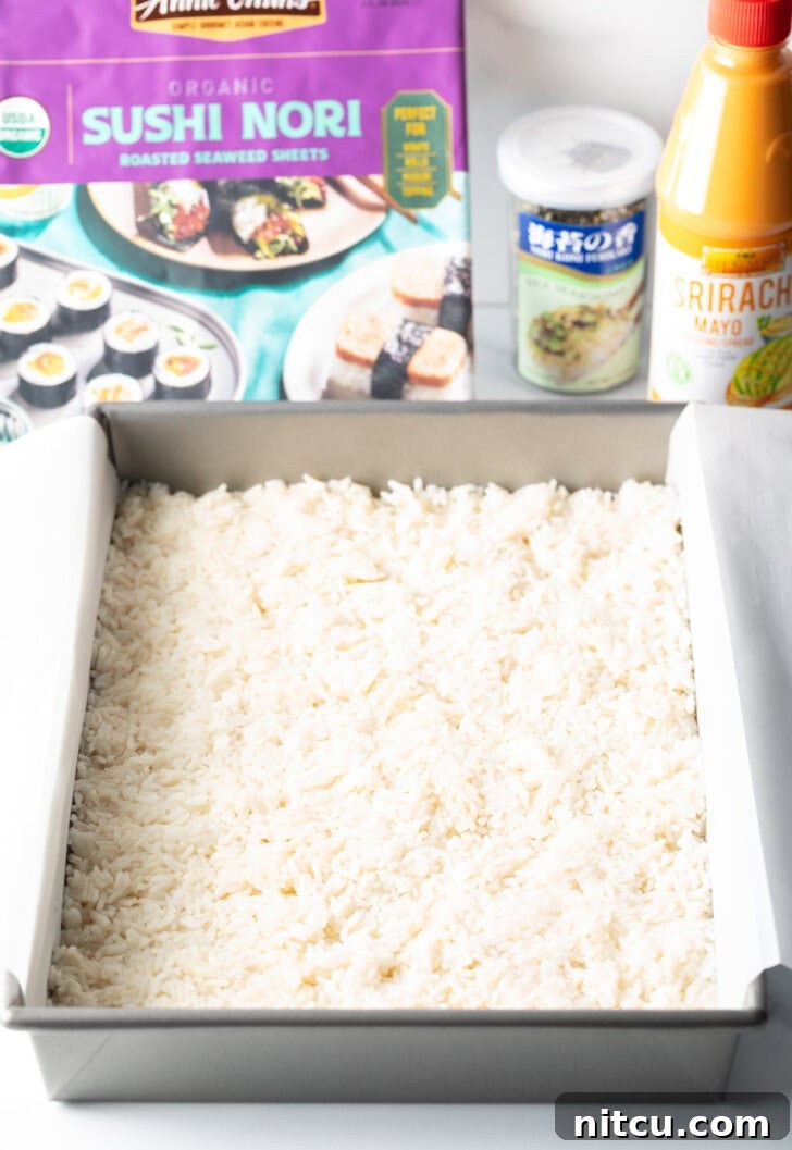 Cooked white sushi rice evenly pressed into the bottom of a rectangular baking pan, forming the base layer.